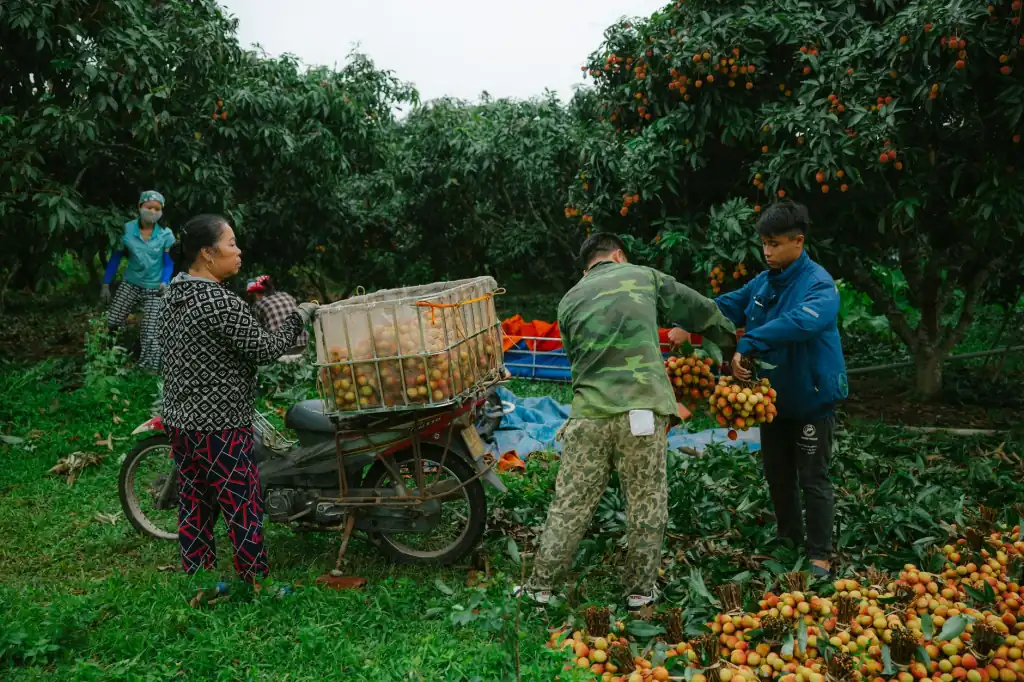 零售企业会员卡制作材料选择与印刷工艺对比分析