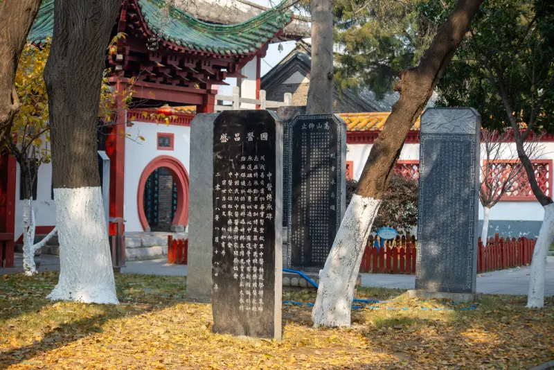 2025年会员卡制作行业技术趋势：从PVC到环保材料的转型路径