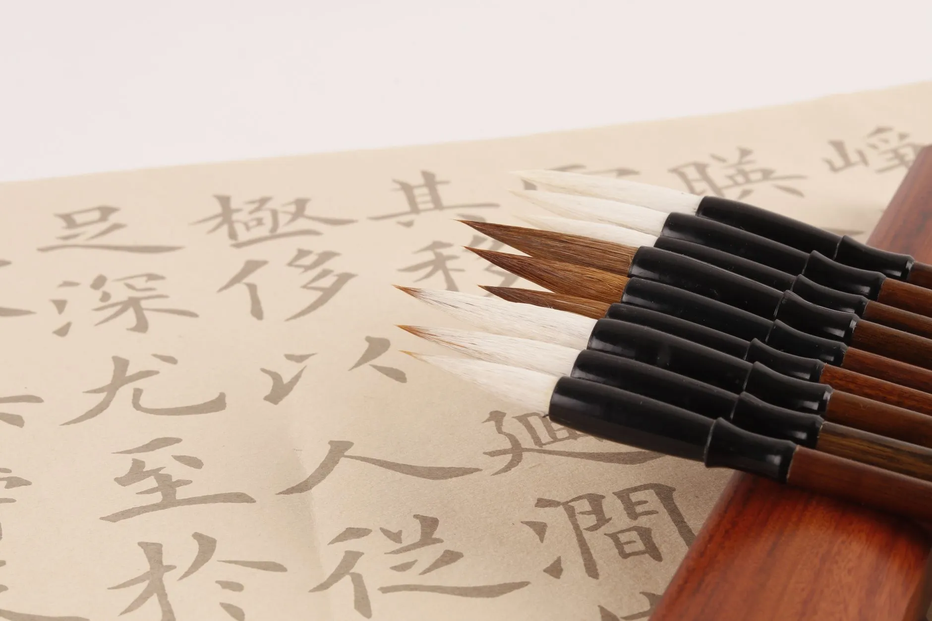 会员卡制作工艺对比：PVC卡与纸质卡的耐磨性及成本分析