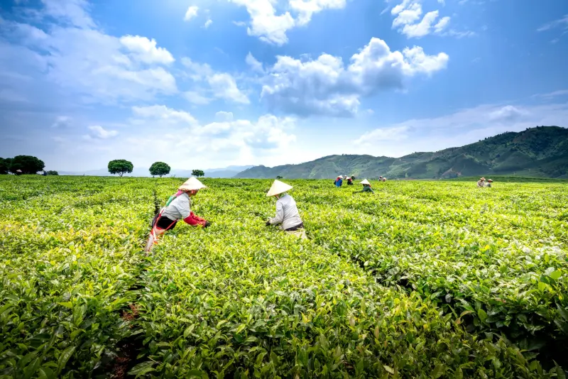 积分卡设计如何提升客户粘性？基于消费心理学的方案对比