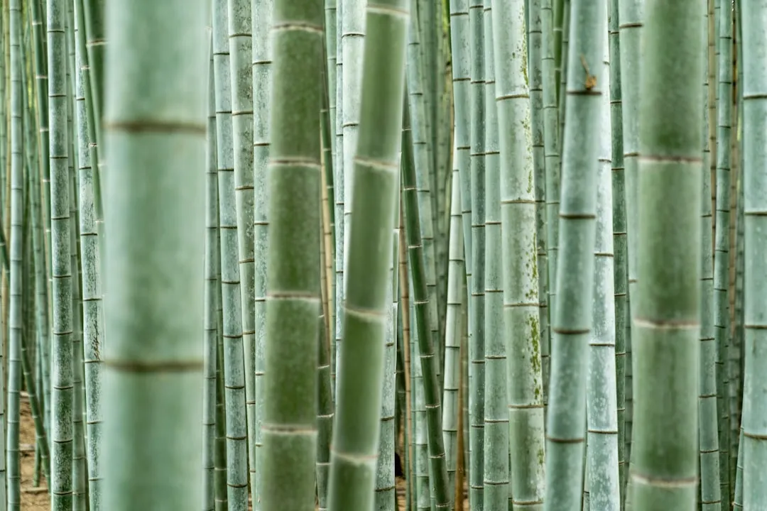 优惠券印刷色彩管理要点解析:如何确保批量印刷色差达标